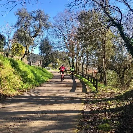 Villa A Muralha Da Junqueira *