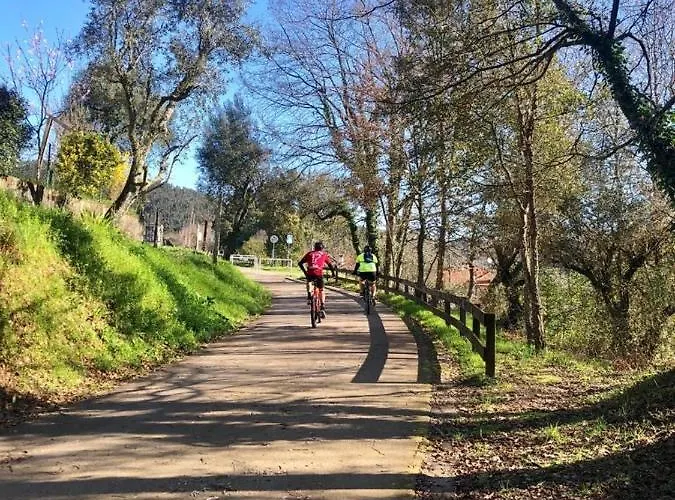 빌라 A Muralha Da Junqueira *